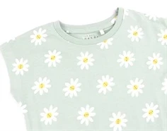 Name It silt green daisy flowers top